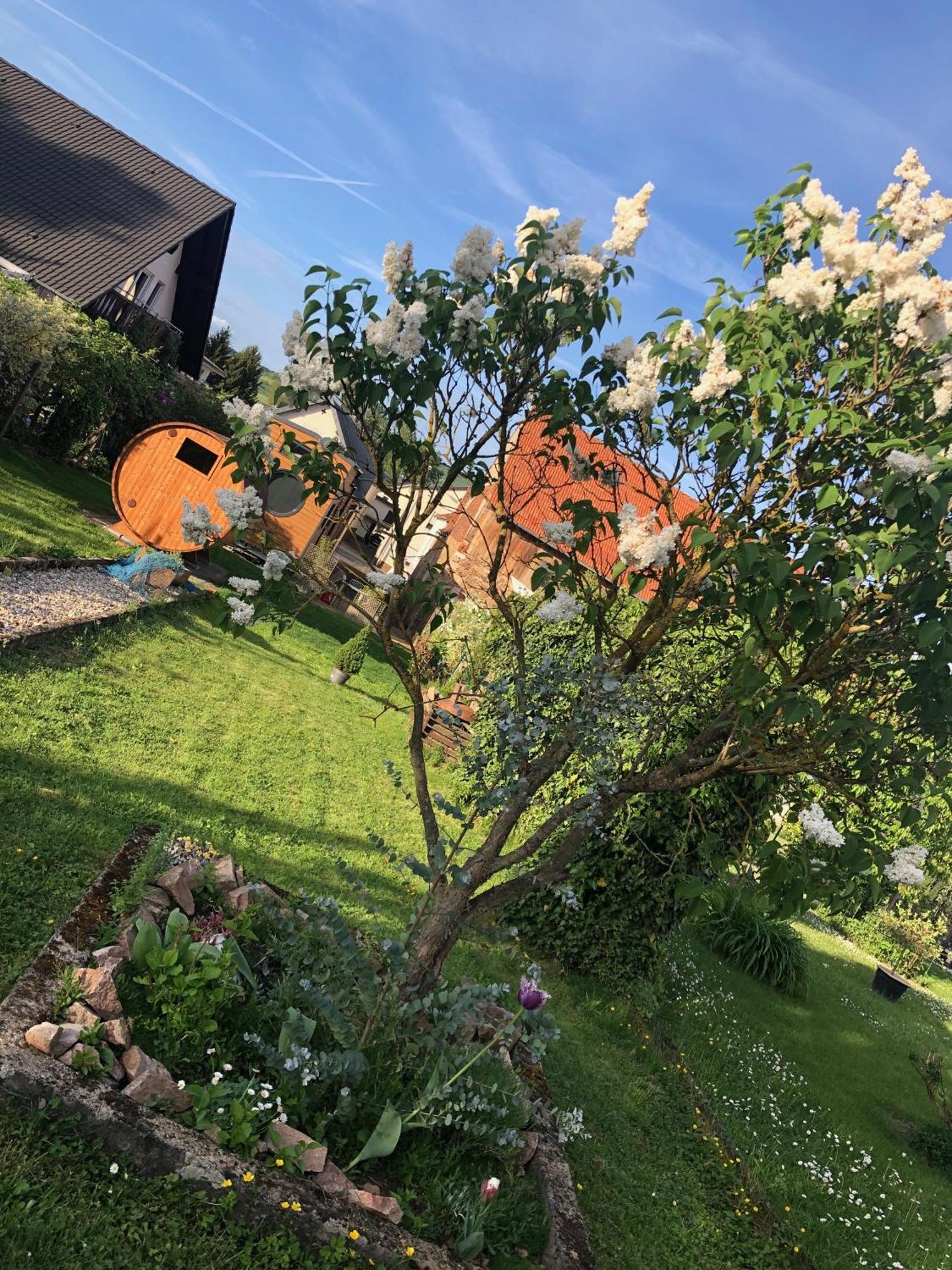 Tiny House Mit Saunafass Und Garten Apartment Brensbach Exterior photo